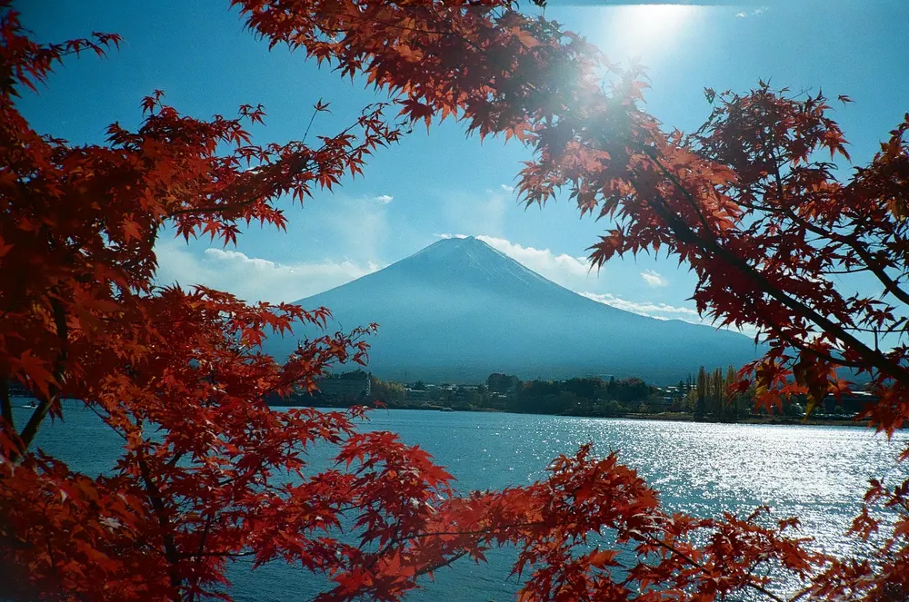 Mt. Fuji